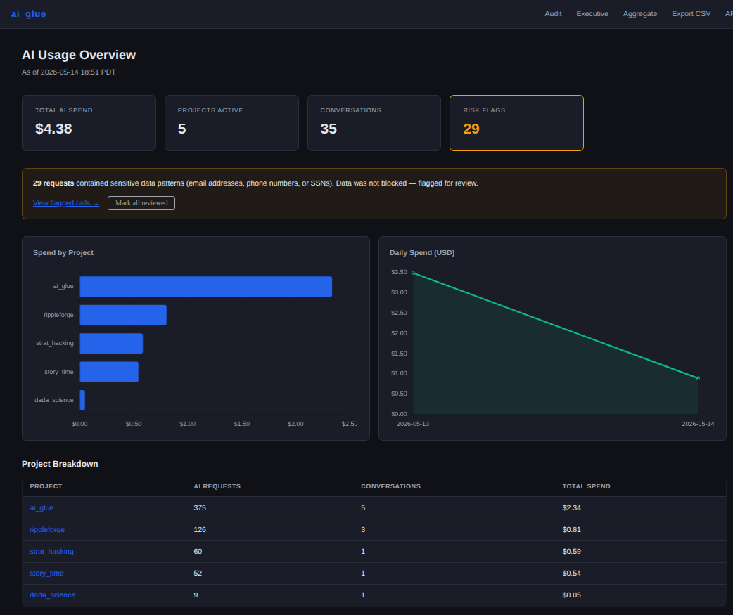 ai_glue executive view: spend by project, daily spend, and a risk-flag callout